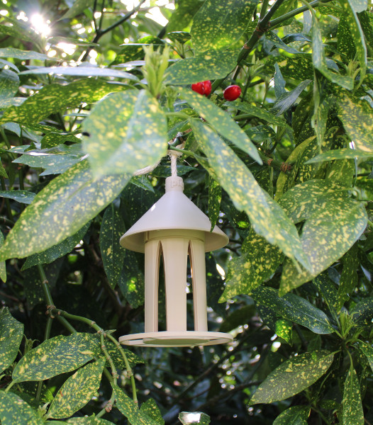 Impressionen 25_piepmaz