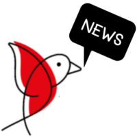 Piepmaz News Vogel schwarz